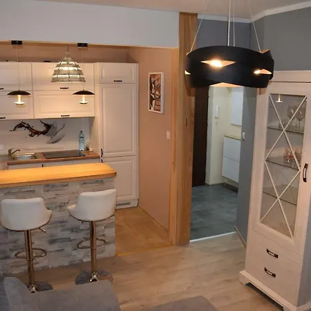 アパート Apartament Mickiewicza スウプスク